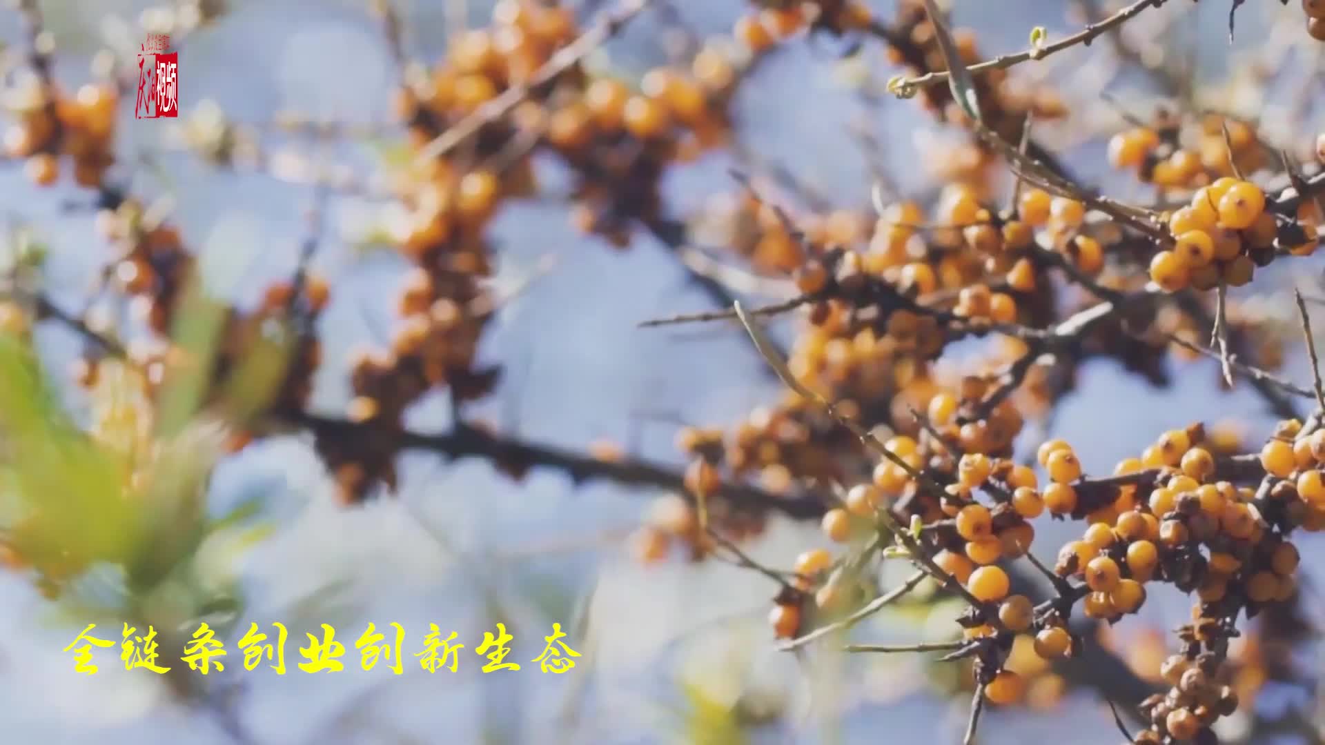 【我的慶陽(yáng)我的愛(ài)】創(chuàng)業(yè)創(chuàng)新 活力迸發(fā)