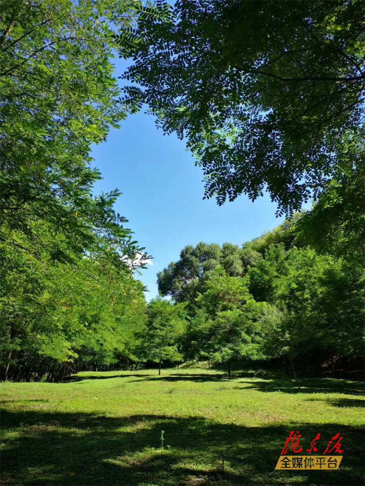 何新軍丨45度角的天空