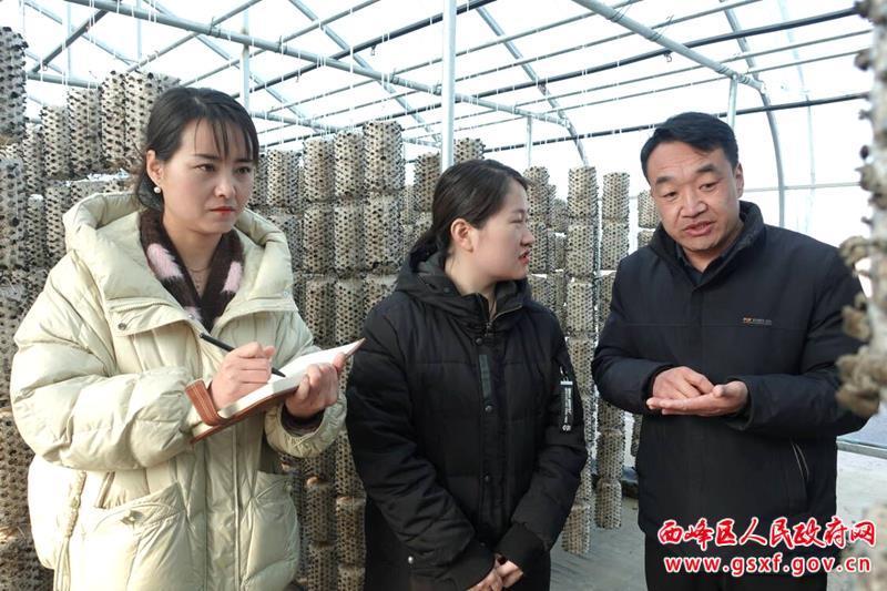 西峰區(qū)彭原鎮(zhèn)鄢旗坳村：小木耳的“科技范”