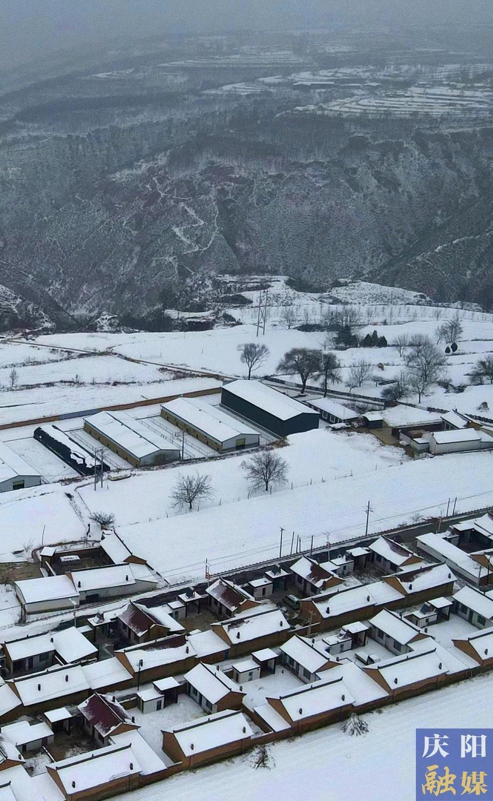 【大美慶陽】合水縣太莪鄉(xiāng)關(guān)良村雪景