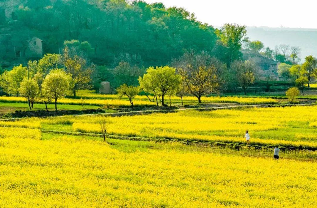 來(lái)慶陽(yáng)，一起“上春山”