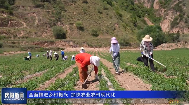 《慶陽(yáng)新聞》2024年8月4日