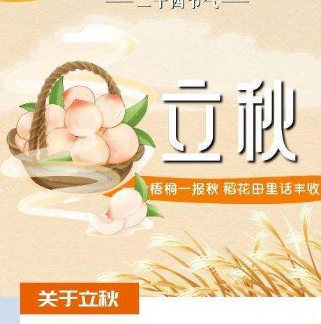 【二十四節(jié)氣·立秋】長(zhǎng)圖 | 一葉梧桐一報(bào)秋 稻花田里話(huà)豐收